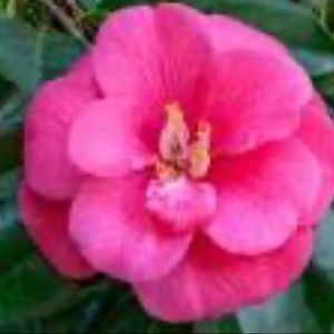 Meet your Posher, Offers